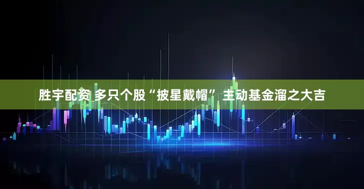 胜宇配资 多只个股“披星戴帽” 主动基金溜之大吉