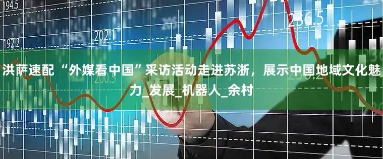洪萨速配 “外媒看中国”采访活动走进苏浙，展示中国地域文化魅力_发展_机器人_余村