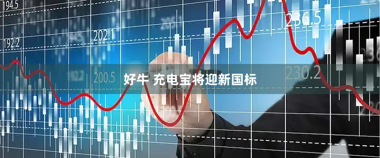 好牛 充电宝将迎新国标