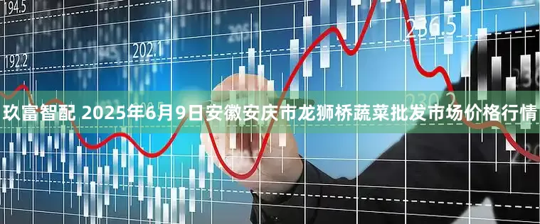 玖富智配 2025年6月9日安徽安庆市龙狮桥蔬菜批发市场价格行情