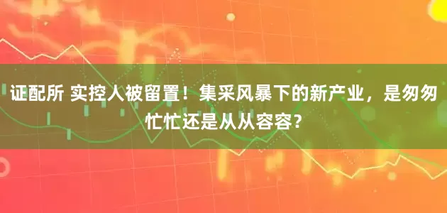 证配所 实控人被留置！集采风暴下的新产业，是匆匆忙忙还是从从容容？