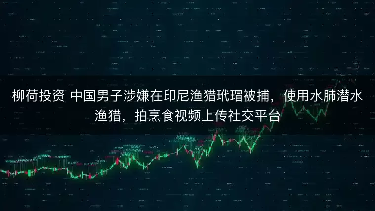 柳荷投资 中国男子涉嫌在印尼渔猎玳瑁被捕，使用水肺潜水渔猎，拍烹食视频上传社交平台